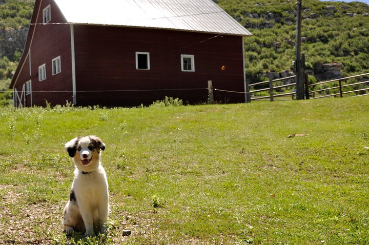 Desi at Bar Double L Ranch